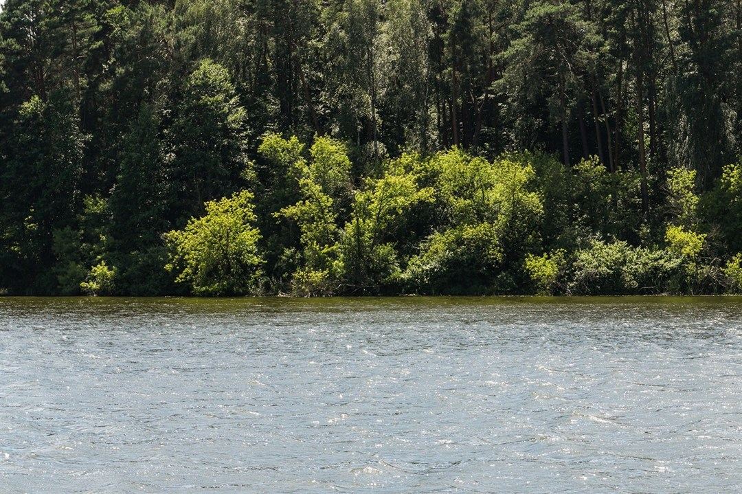 Санаторій «Пролісок» Волинь - Природа