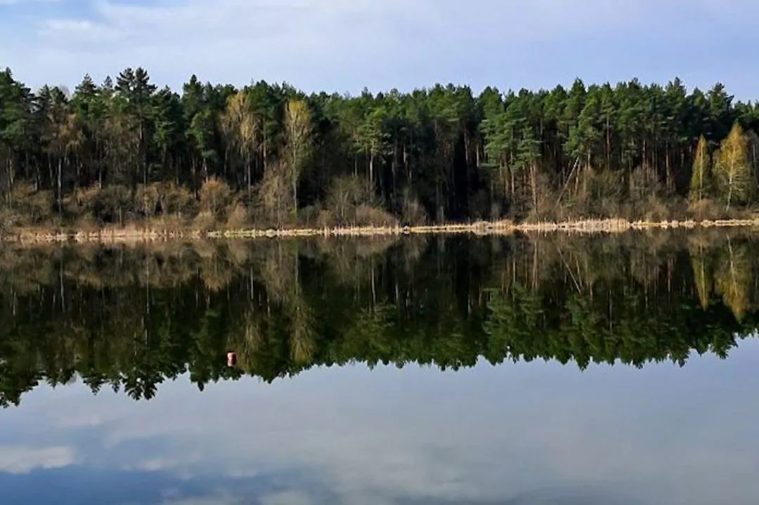 Санаторій «Пролісок» Волинь - Затишна водойма