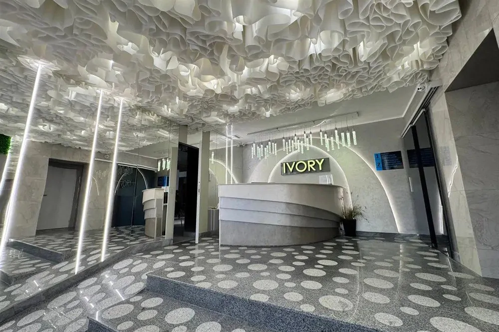 Передпокій Готель IVORY Resort and Spa Виноградів - Передпокій