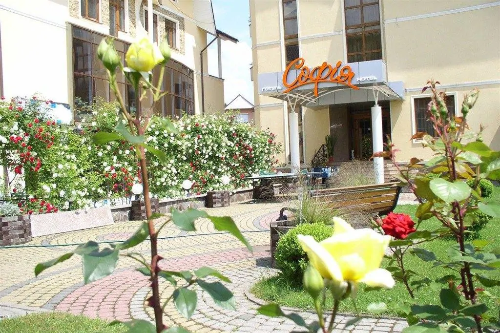 Вхід готелю Готель Софія Поляна - Вхід готелю