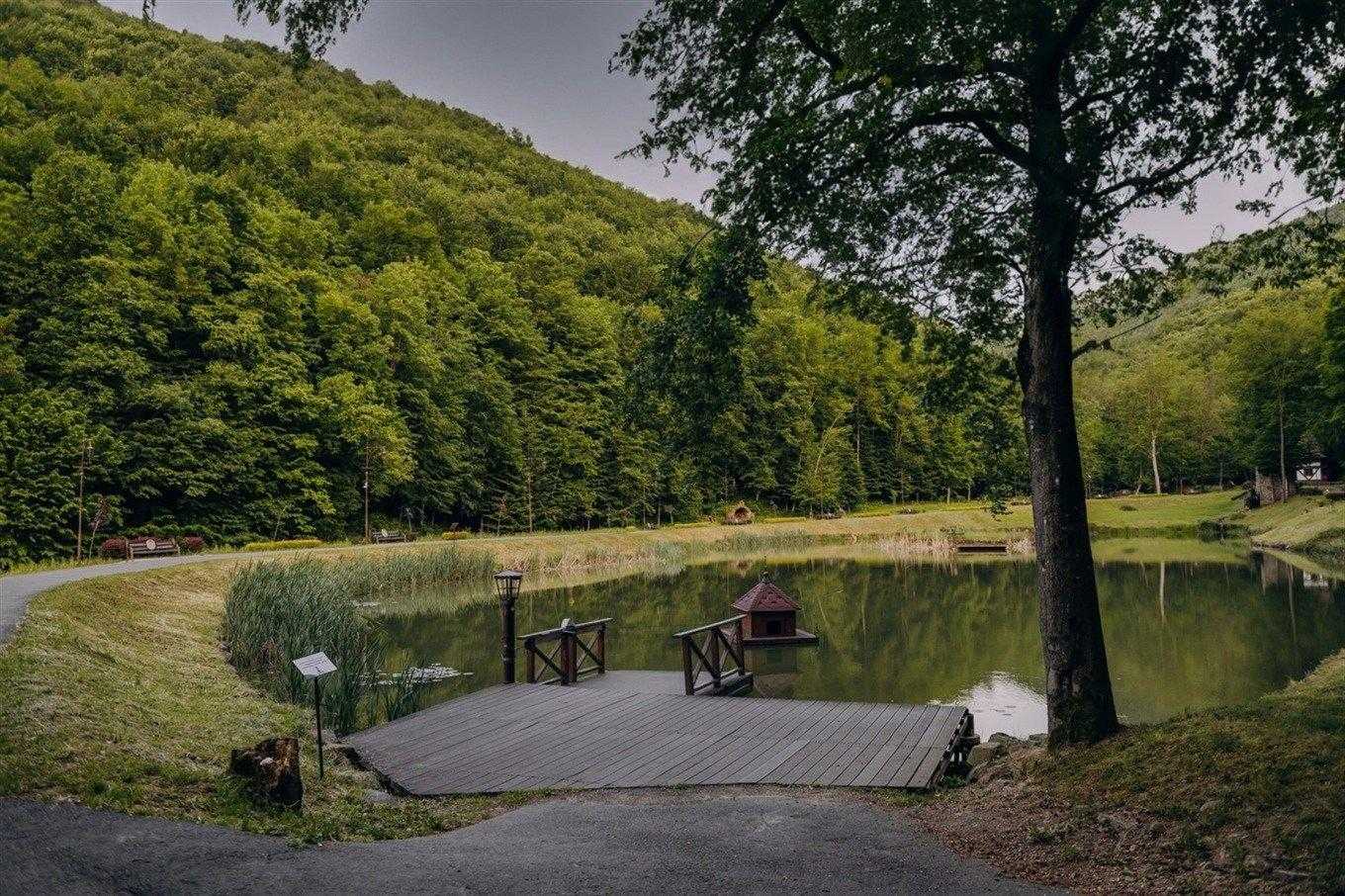 Дім качок Готель Voevodyno Resort Закарпаття - Дім качок