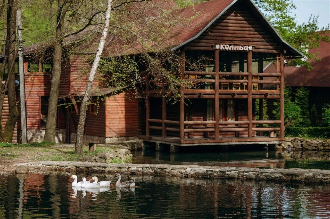 Колиба Готель Voevodyno Resort Закарпаття - Колиба